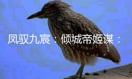 凤驭九宸：倾城帝姬谋：番外+全文阅读_(昭桦陆承渊)凤驭九宸：倾城帝姬谋：番外+全文最新章节列表_笔趣阁（昭桦陆承渊）