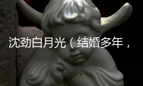 沈劲白月光（结婚多年，我只是老婆白月光的实验品：结局+番外）全文免费阅读无弹窗大结局_(沈劲白月光)最新章节列表_笔趣阁（结婚多年，我只是老婆白月光的实验品：结局+番外）