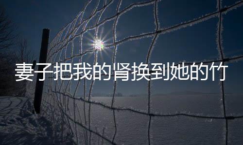 妻子把我的肾换到她的竹马身上后，她悔疯了：结局+番外（陆天临沐婉）已完结，妻子把我的肾换到她的竹马身上后，她悔疯了：结局+番外已完结