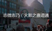 志微志乃（火