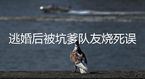 逃婚后被坑爹队友烧死误闯无限流：完结+番外（苏毅陈墨于）免费阅读完整版_(逃婚后被坑爹队友烧死误闯无限流：完结+番外)最新章节列表_笔趣阁（苏毅陈墨于）