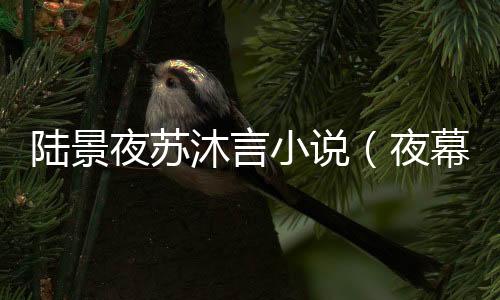 陆景夜苏沐言小说（夜幕下的琳琅：结局+番外）热门全文免费阅读已完结_陆景夜苏沐言最新章节列表_笔趣阁（夜幕下的琳琅：结局+番外）